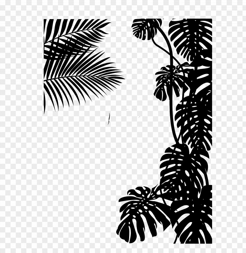 M Pine Font Line Palm Trees Black & White PNG
