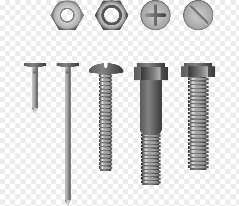 Mounting Accessories Screw Nut Vector Material Tool Euclidean PNG