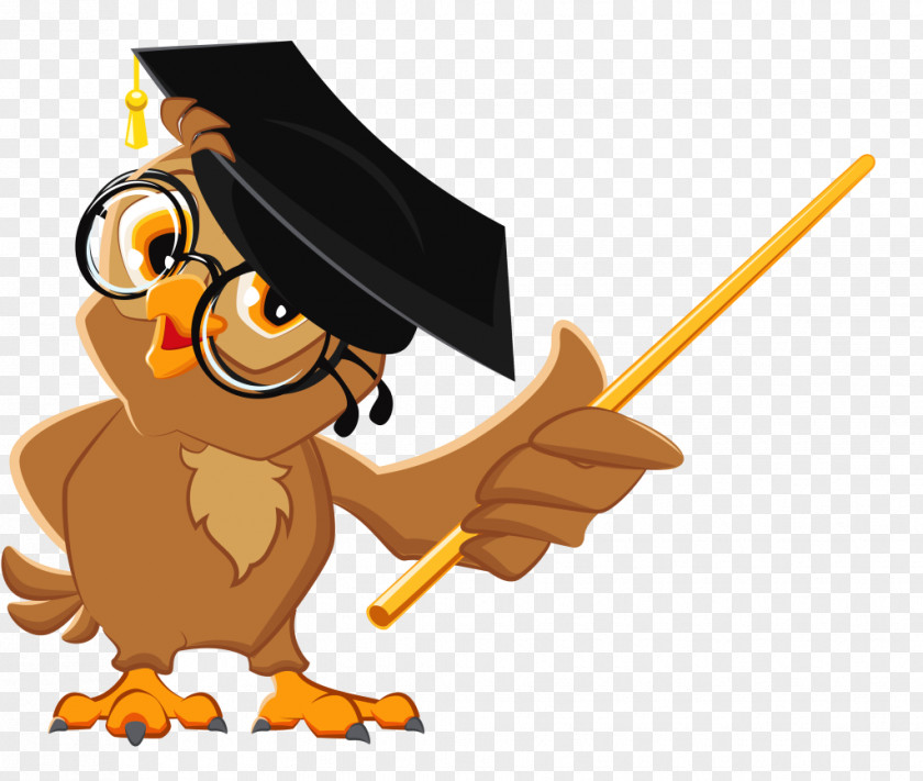 Owl Teaching Education Teacher Illustration PNG