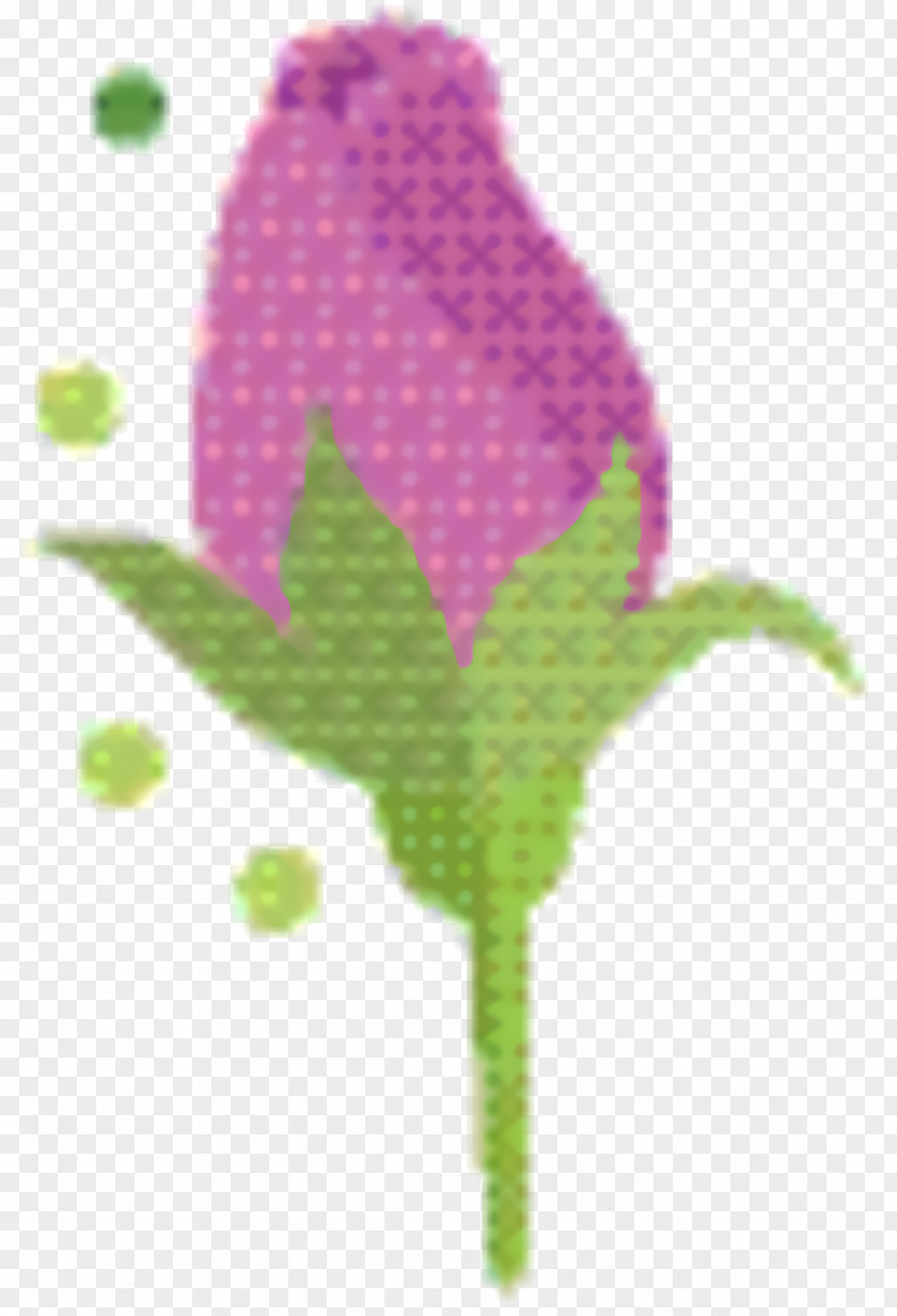 Wildflower Pedicel Green Leaf Background PNG