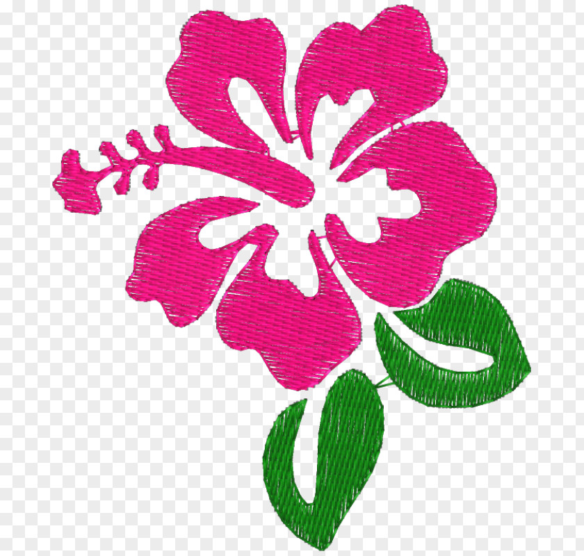 Flor Shoeblackplant Drawing Flower Clip Art PNG