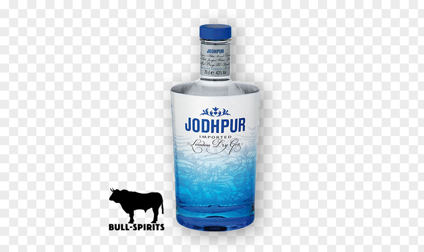 Gin Fizz Liqueur Distilled Beverage Jodhpur Vodka PNG