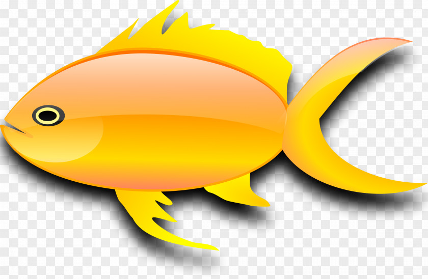 Gold Fish Goldfish Clip Art PNG