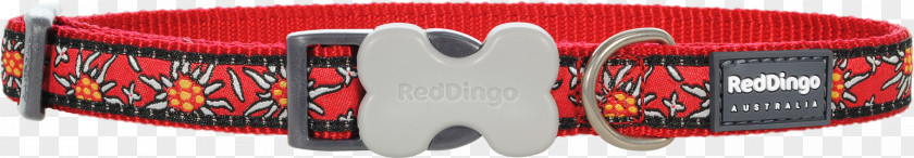 Red Collar Dog Dingo PNG
