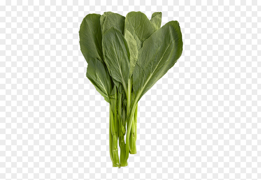 Yu Choy Sum Shanghai Chard Spring Greens Collard Komatsuna PNG