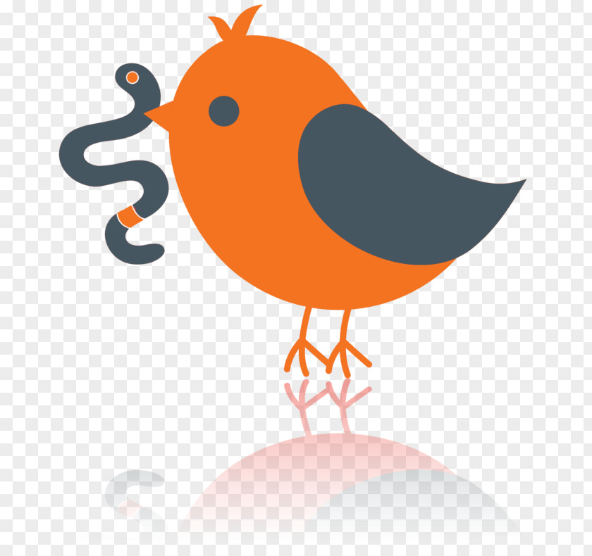 Bird Clip Art PNG