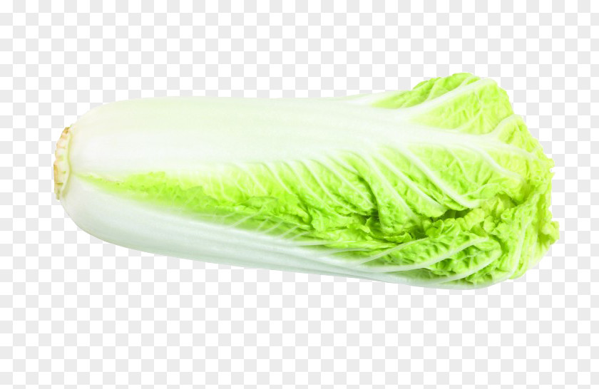 Chinese Cabbage Bok Choy Cultivar Capsicum Annuum PNG