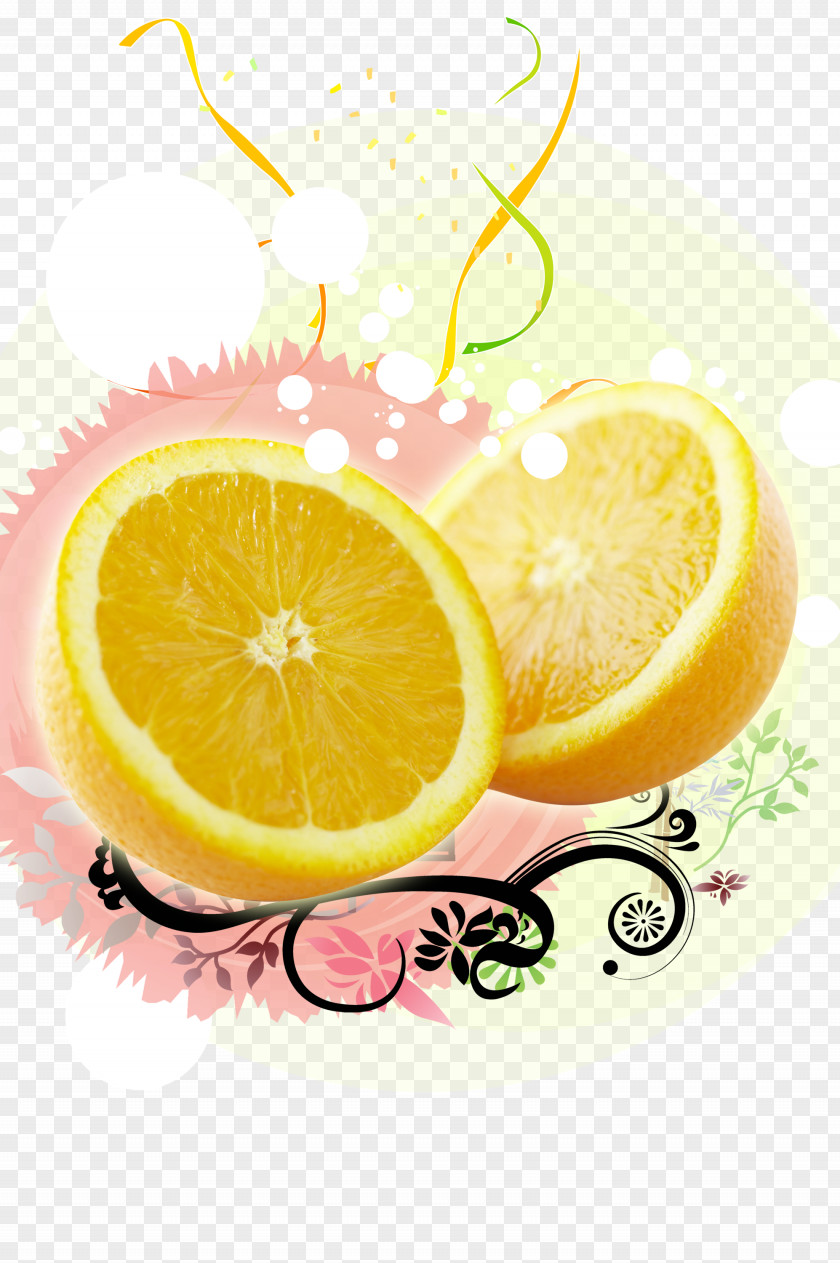 Delicious Orange Juice Poster Illustration PNG