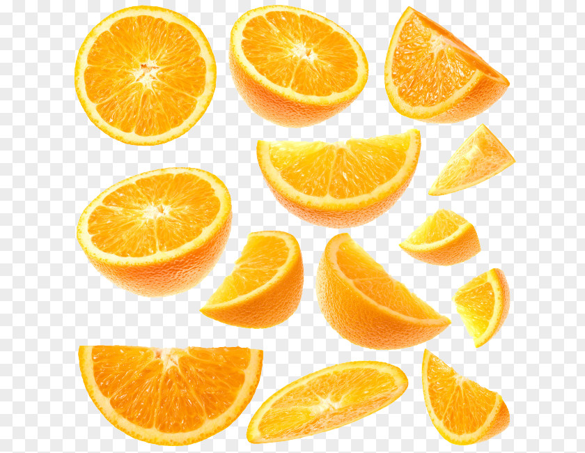 Orange Tangerine Grapefruit Slice PNG