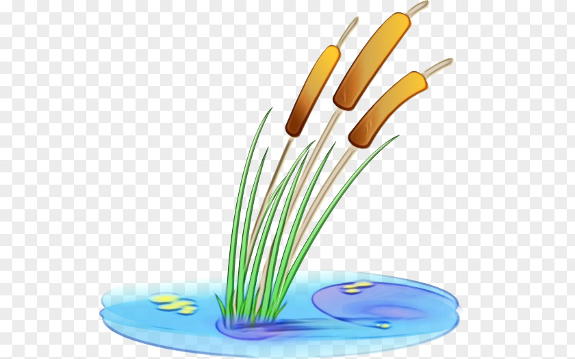 Plant Grass Transparency Cartoon Pond PNG