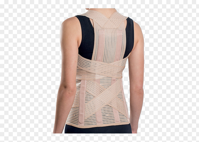 T-shirt Corset Orthotics Human Back Vertebral Column PNG
