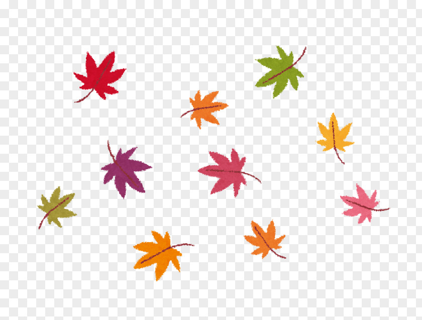 Autumn Leaf Color Photography Fotolia Caregiver PNG