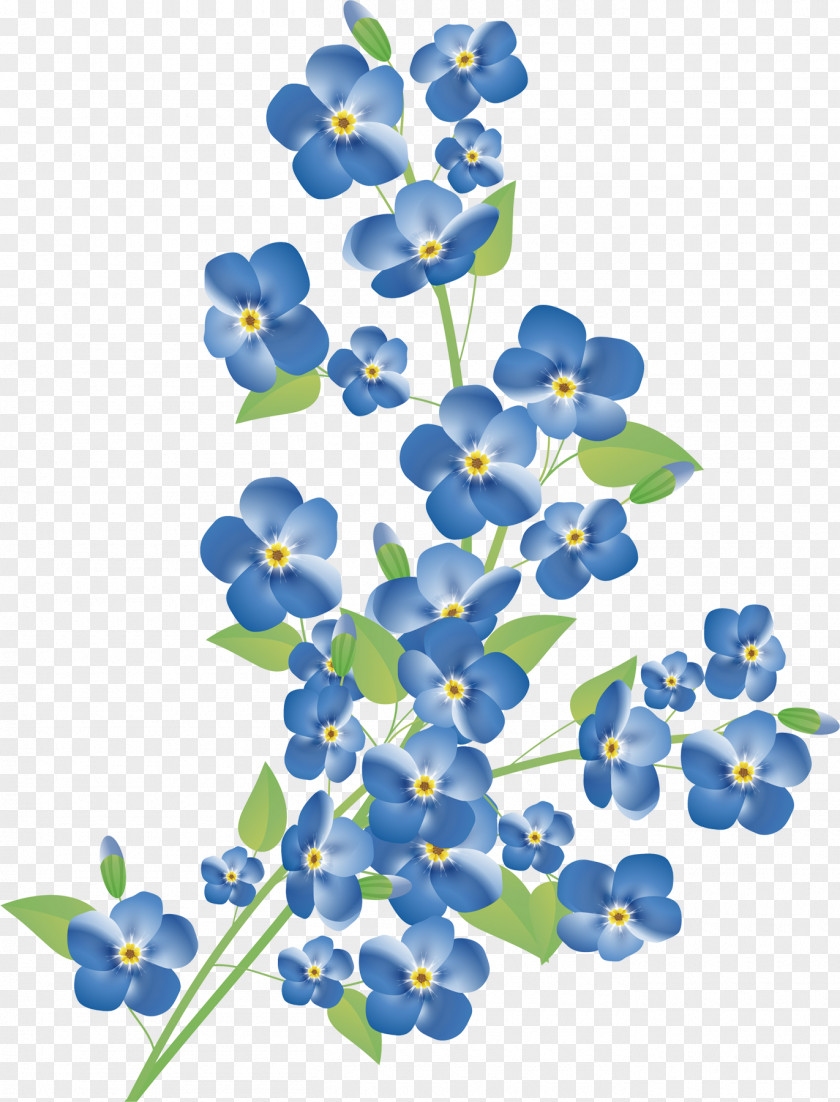 Blue Flower Border Scorpion Grasses Stock Photography Royalty-free Clip Art PNG