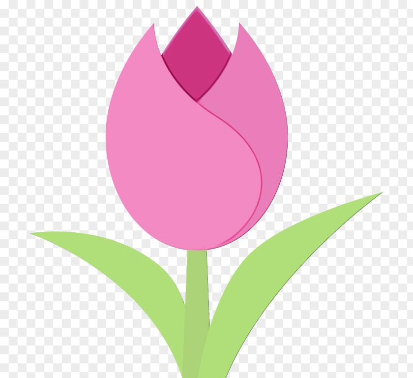 Bud Lily Family Pink Flower Cartoon PNG