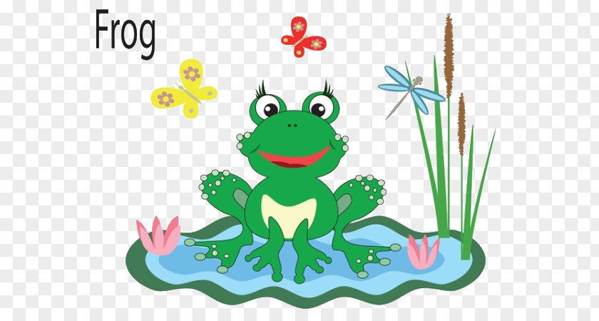 Cartoon Frog Drawing Royalty-free Illustration PNG