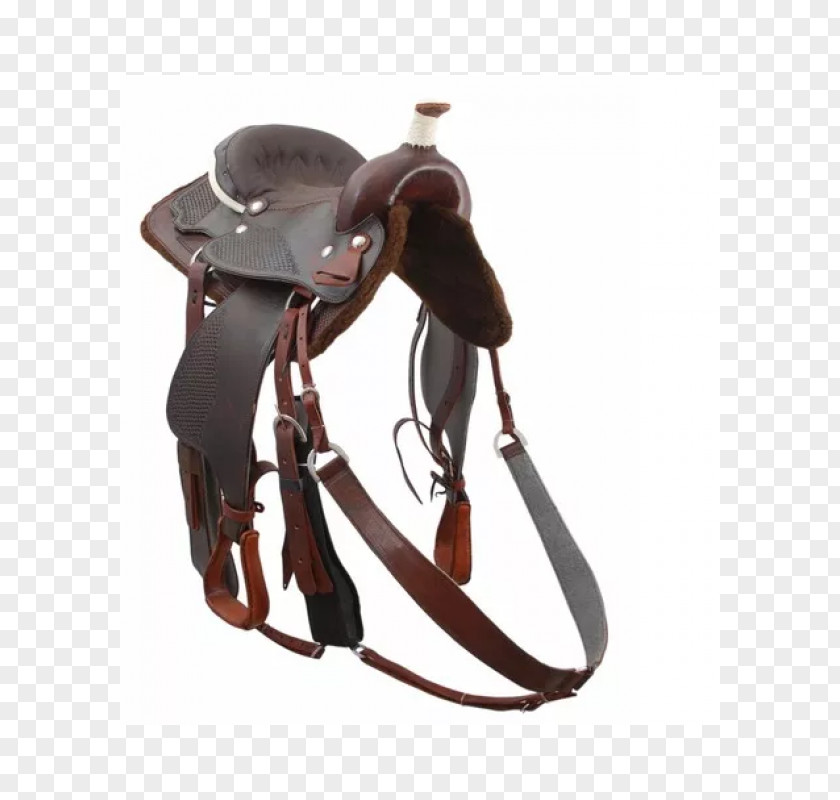 Cavalgada Campolina Bridle Saddle American Quarter Horse Rein PNG