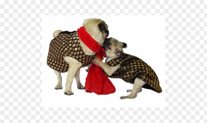 Puppy Dog Breed Pug Coat Clothes PNG