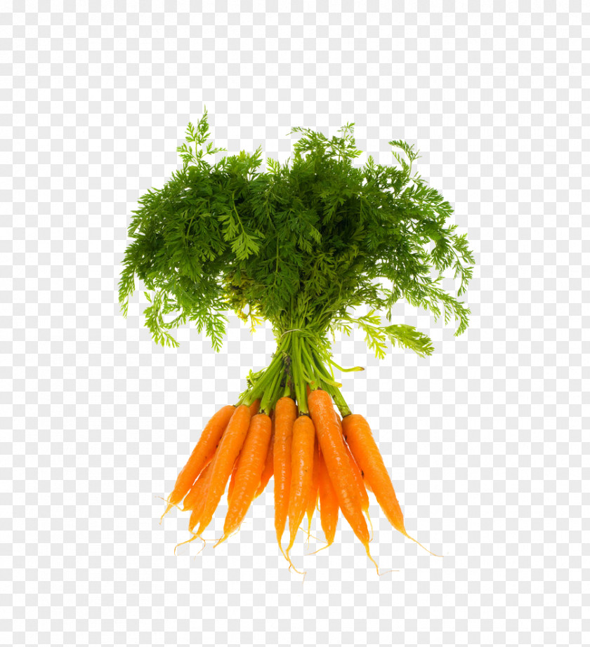 A Carrot Vegetable Organic Food Fruit PNG