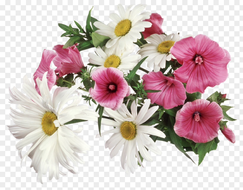 Animation Flower PNG