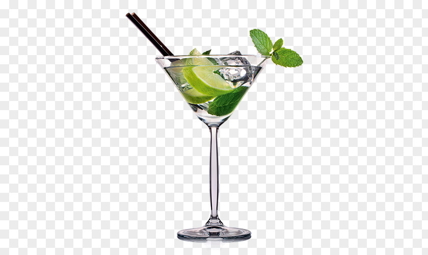 Healthy Drinks Cocktail Garnish Gin And Tonic Martini PNG