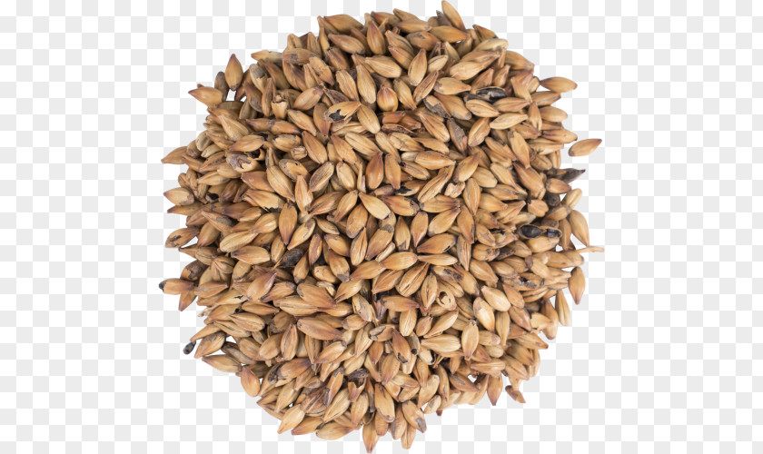 Beer Oat Brewing Grains & Malts Cereal PNG