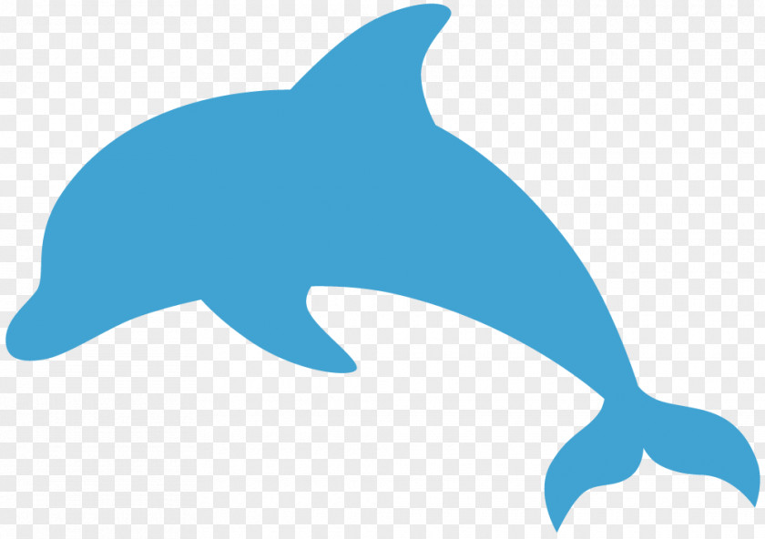 Dolphin Common Bottlenose Tucuxi Decal Rough-toothed Sticker PNG