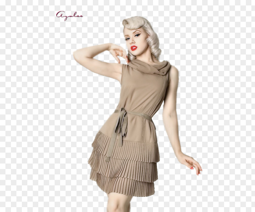 Dress Ruffle Chiffon Vintage Clothing PNG