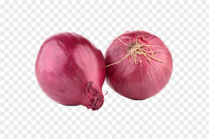 Free Creative Pull Onions Red Onion Shallot Stock Photography Clip Art PNG