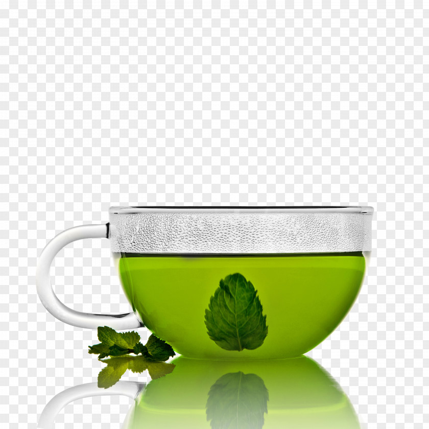 Green Tea And Mint Leaves Coffee Flowering PNG