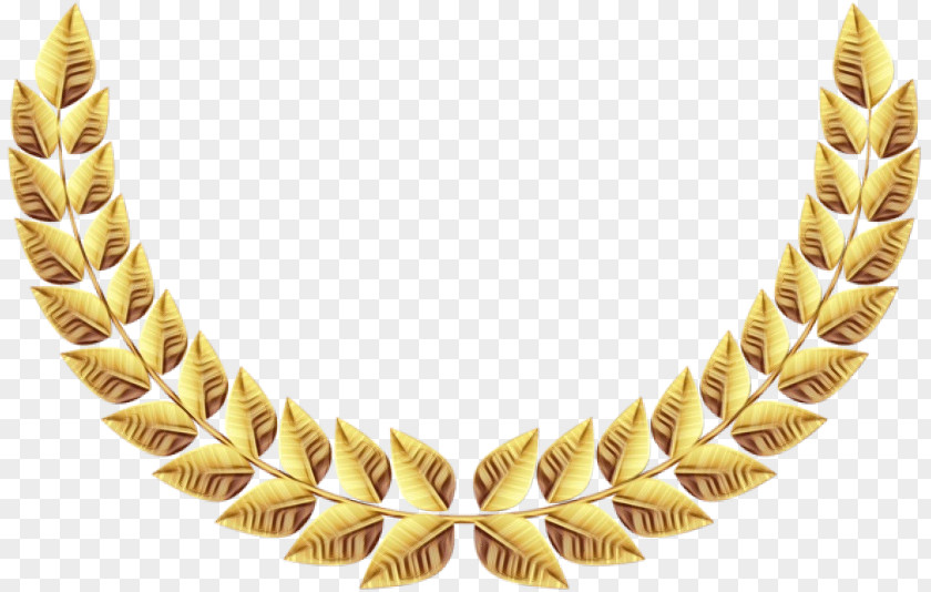 Necklace Yellow Jewellery Body Jewelry Gold PNG
