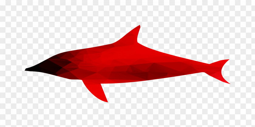 Shark Marine Biology Dolphin RED.M PNG