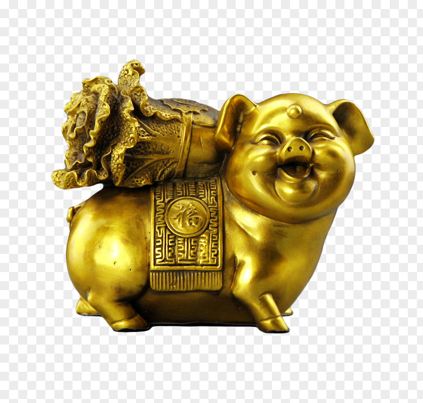 Copper Pig Cabbage Domestic Gold PNG
