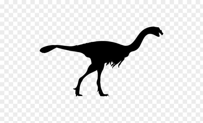 Dinosaur Vector Velociraptor Gigantoraptor Citipati Tyrannosaurus Pterodactyls PNG