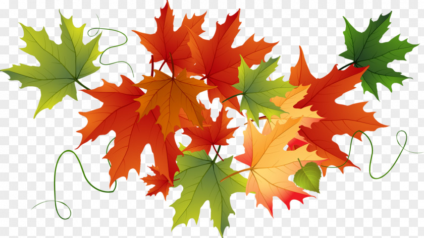 Flaming Maple Leaves Thanksgiving Pumpkin Clip Art PNG