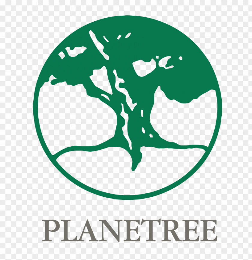 Overlooking The Tree Planetree Inc Health Care Organization Hospital Patient PNG
