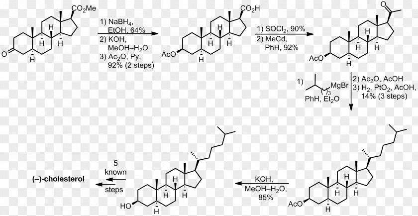 Steroid Hormone Chemical Synthesis Chemistry Cortisone PNG