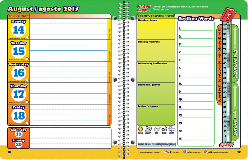 Student Planner Cliparts National Primary School Kindergarten Parent PNG