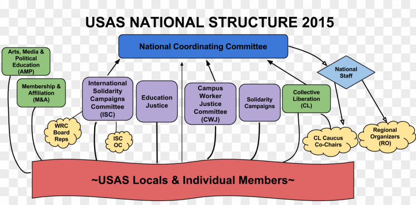 Business Organizational Structure Chart Management PNG