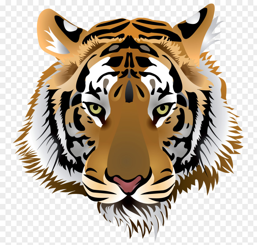 Cat Bengal Tiger White Clip Art PNG