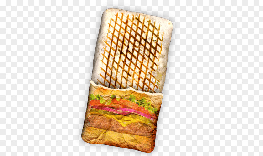 Pizza Taco Kebab Panini Fast Food French Fries PNG
