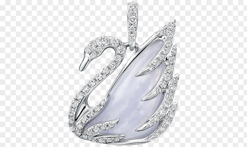 Swarovski Jewelry Pendant White Swan Cygnini Jewellery AG Designer PNG