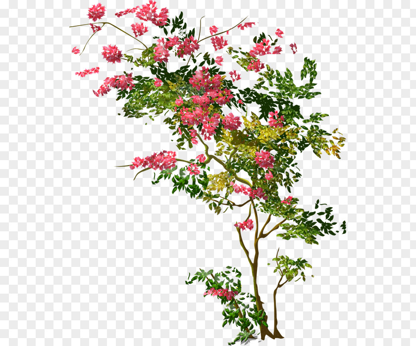 Tree Shrub Floral Design Clip Art PNG