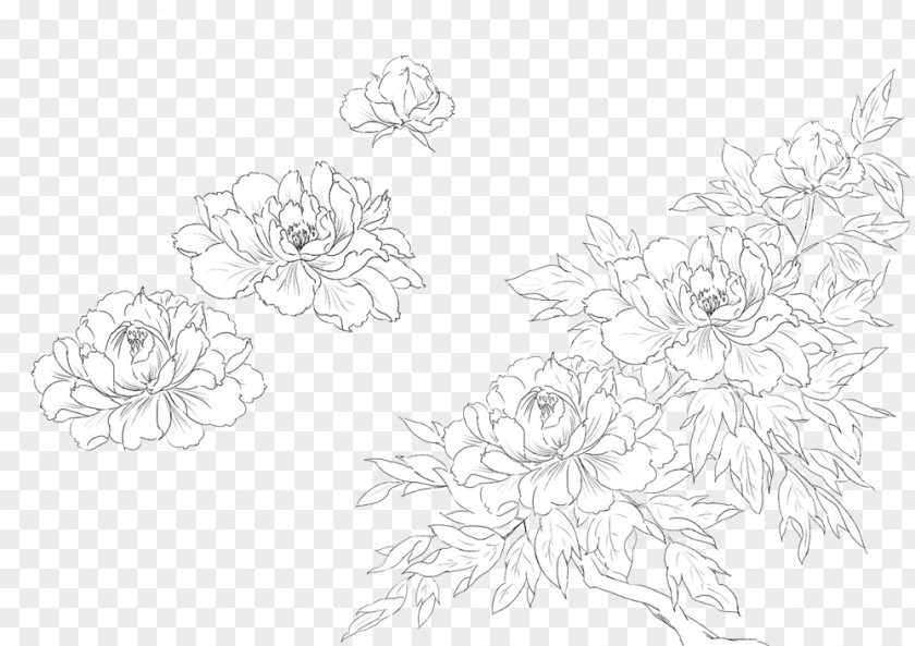 Affirmation Banner Drawing Floral Design Painting Moutan Peony PNG