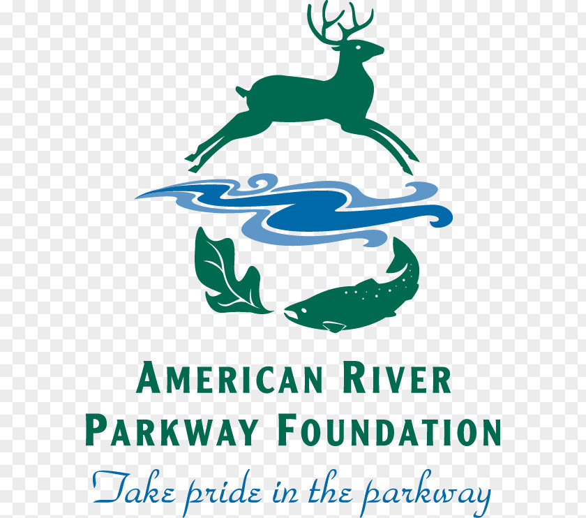 American River Parkway Foundation Photograph PNG
