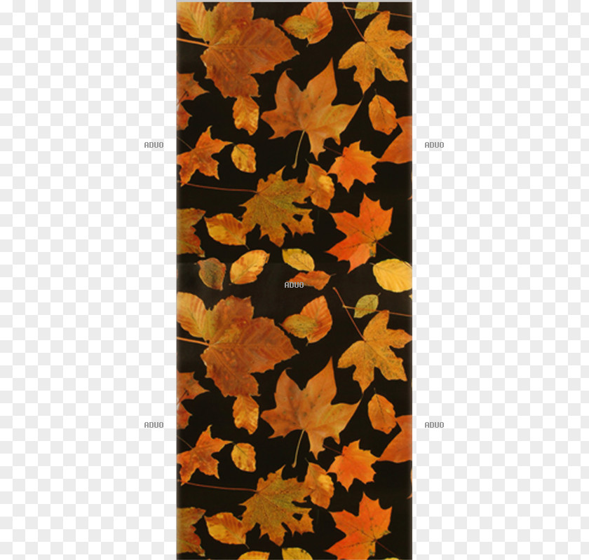 Autumn Leaf PNG