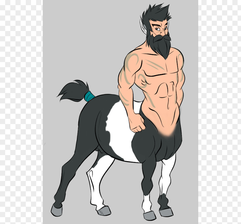 Centaur Cliparts Horse Drawing Dwarf Illustration PNG