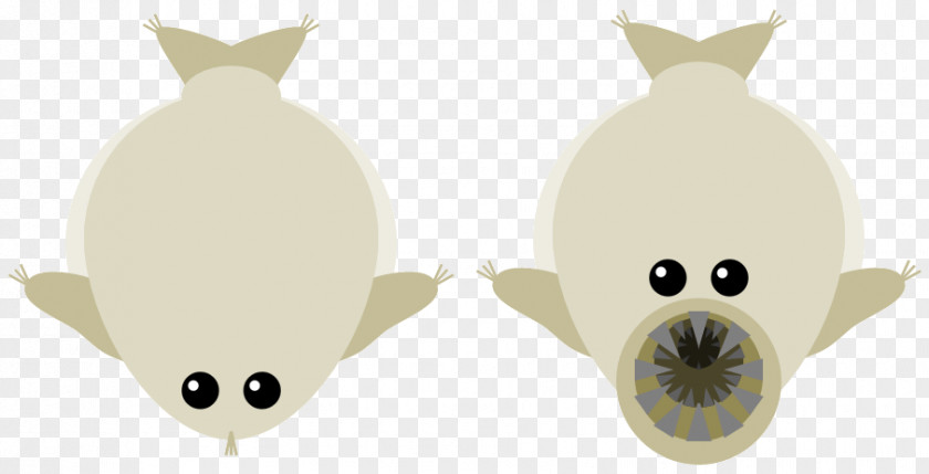 Earrings Beige Whale Cartoon PNG