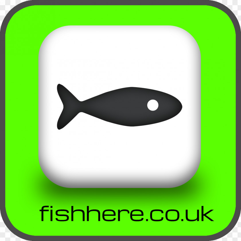 Fish Ball Recreational Fishing Angling Catch And Release Blog PNG