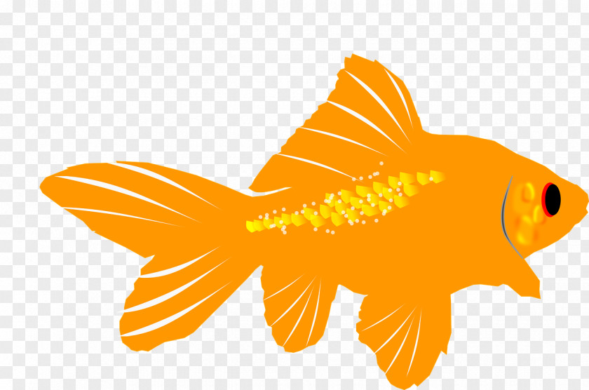 Fish Goldfish Aquarium Clip Art PNG