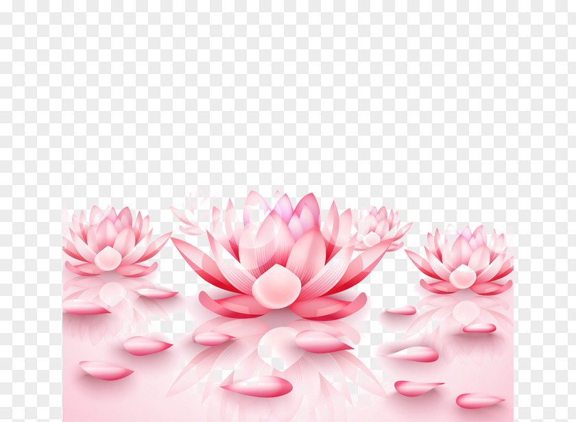 Pink Water Lilies Nelumbo Nucifera Pixel Wallpaper PNG